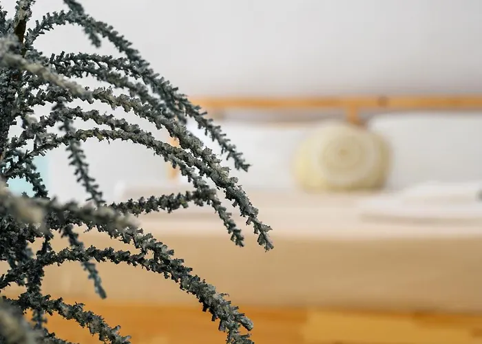 Villa Angeleve With Private Jacuzzi *