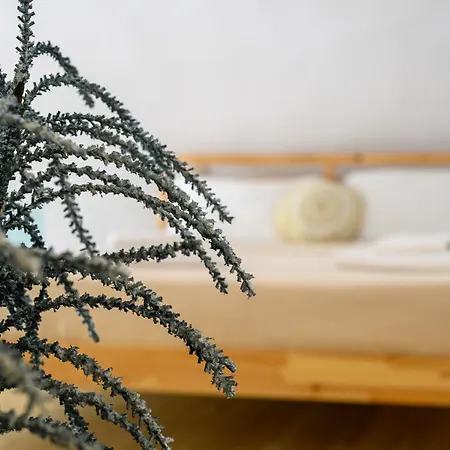 Βίλα Angeleve With Private Jacuzzi *